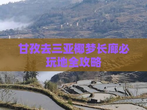 甘孜去三亚椰梦长廊必玩地