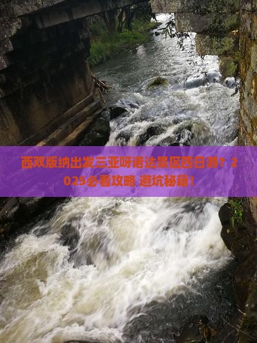 西双版纳出发三亚呀诺达景区四日游