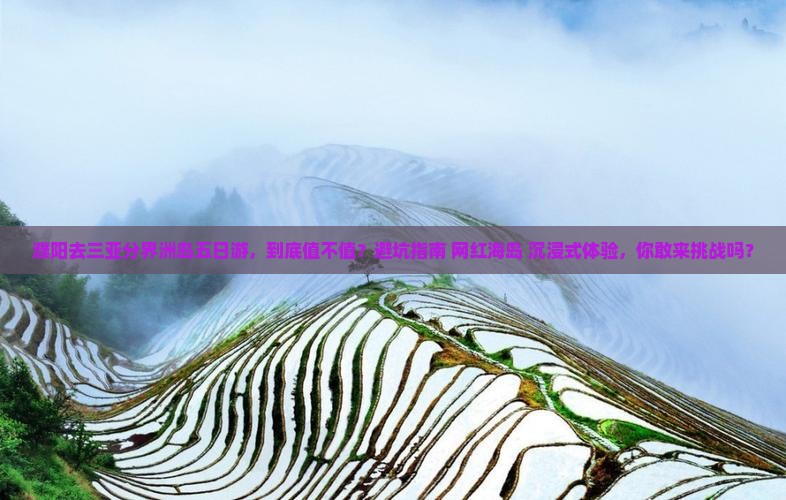 濮阳去三亚分界洲岛五日游