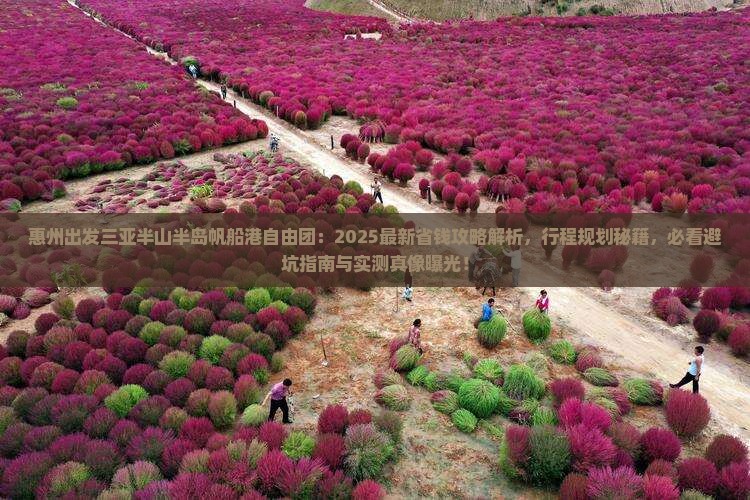 惠州出发三亚半山半岛帆船港自由团