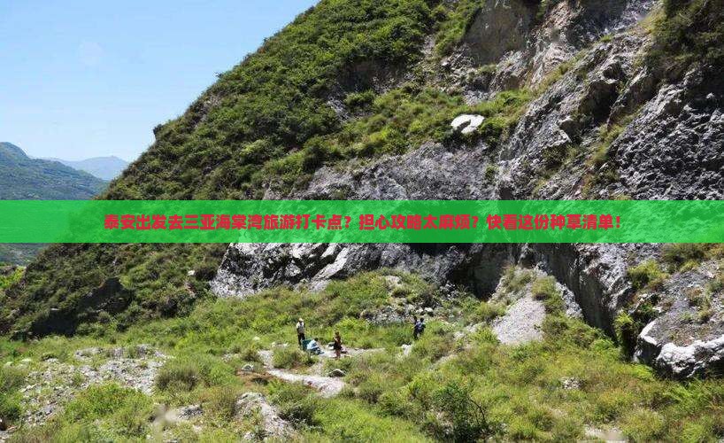 泰安出发三亚海棠湾旅游打卡点