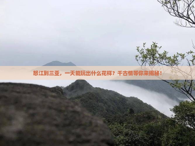 怒江去三亚千古情一日游