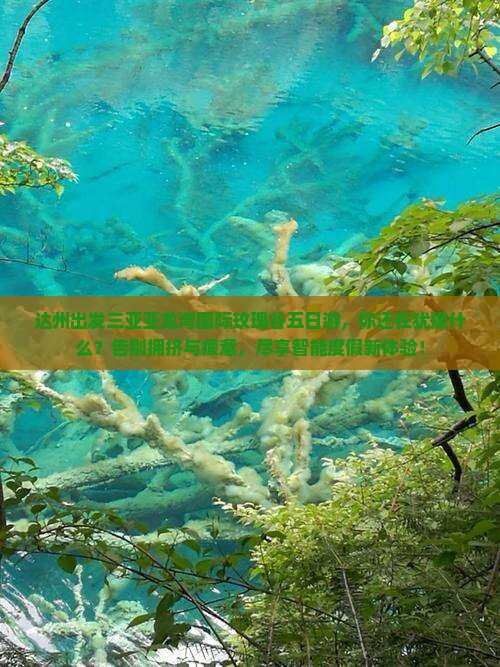 达州出发三亚亚龙湾国际玫瑰谷五日游
