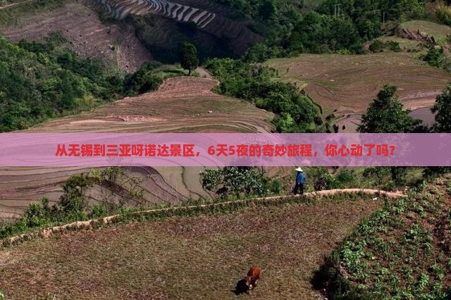无锡去三亚呀诺达景区六日游 无锡去三亚呀诺达景区六日游