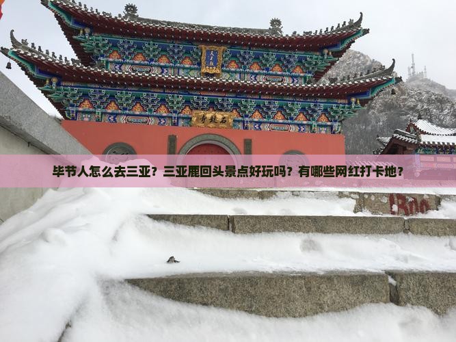 毕节前往三亚鹿回头旅游网红地点