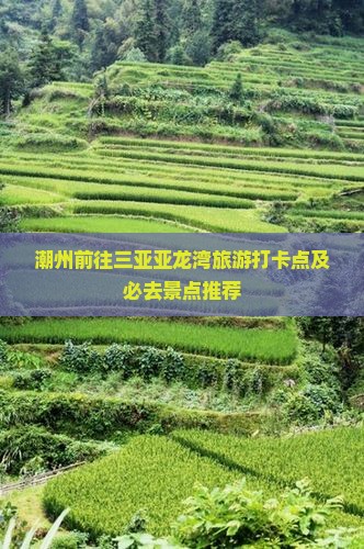 潮州前往三亚亚龙湾旅游打卡点