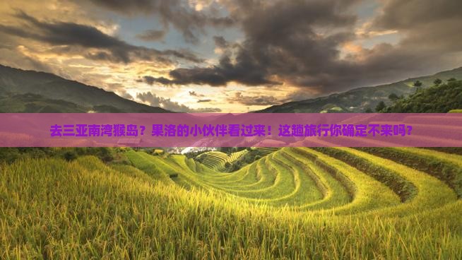 果洛去三亚南湾猴岛旅行社