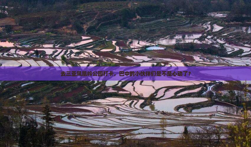 巴中去三亚凤凰岭公园旅游打卡点