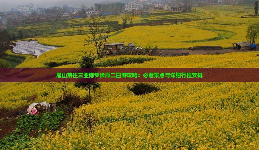 眉山前往三亚椰梦长廊二日游
