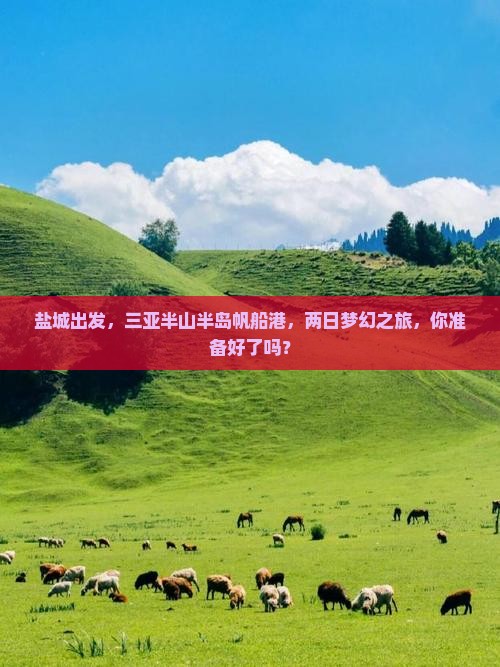 盐城去三亚半山半岛帆船港二日游