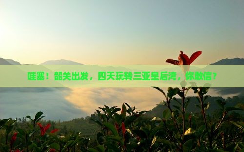 韶关去三亚皇后湾四日游
