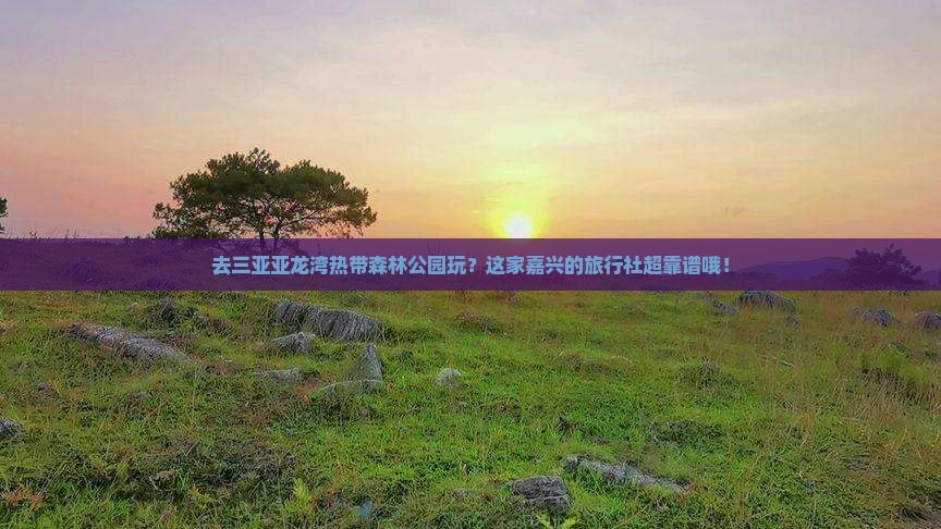 嘉兴前往三亚亚龙湾热带森林公园旅行社