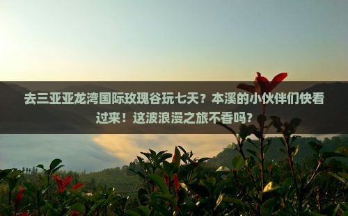 本溪前往三亚亚龙湾国际玫瑰谷七日游