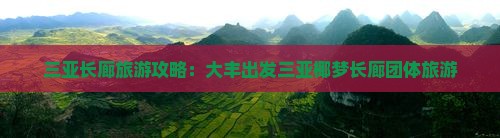 大丰出发三亚椰梦长廊团体旅游