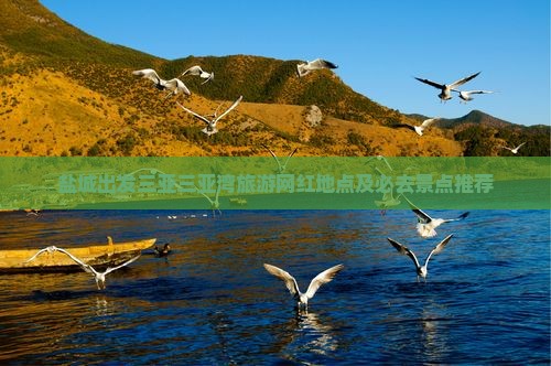 盐城出发三亚三亚湾旅游网红地点