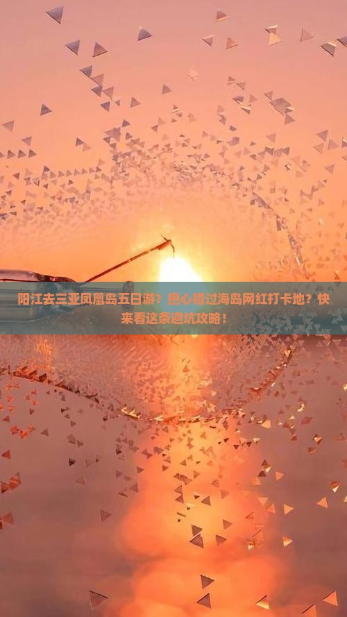 阳江去三亚凤凰岛五日游