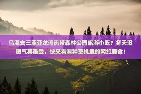 乌海去三亚亚龙湾热带森林公园旅游小吃 乌海去三亚亚龙湾热带森林公园旅游小吃