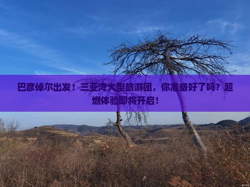 巴彦倬尔出发三亚三亚湾大型旅游团