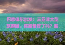 巴彦倬尔出发三亚三亚湾大型旅游团