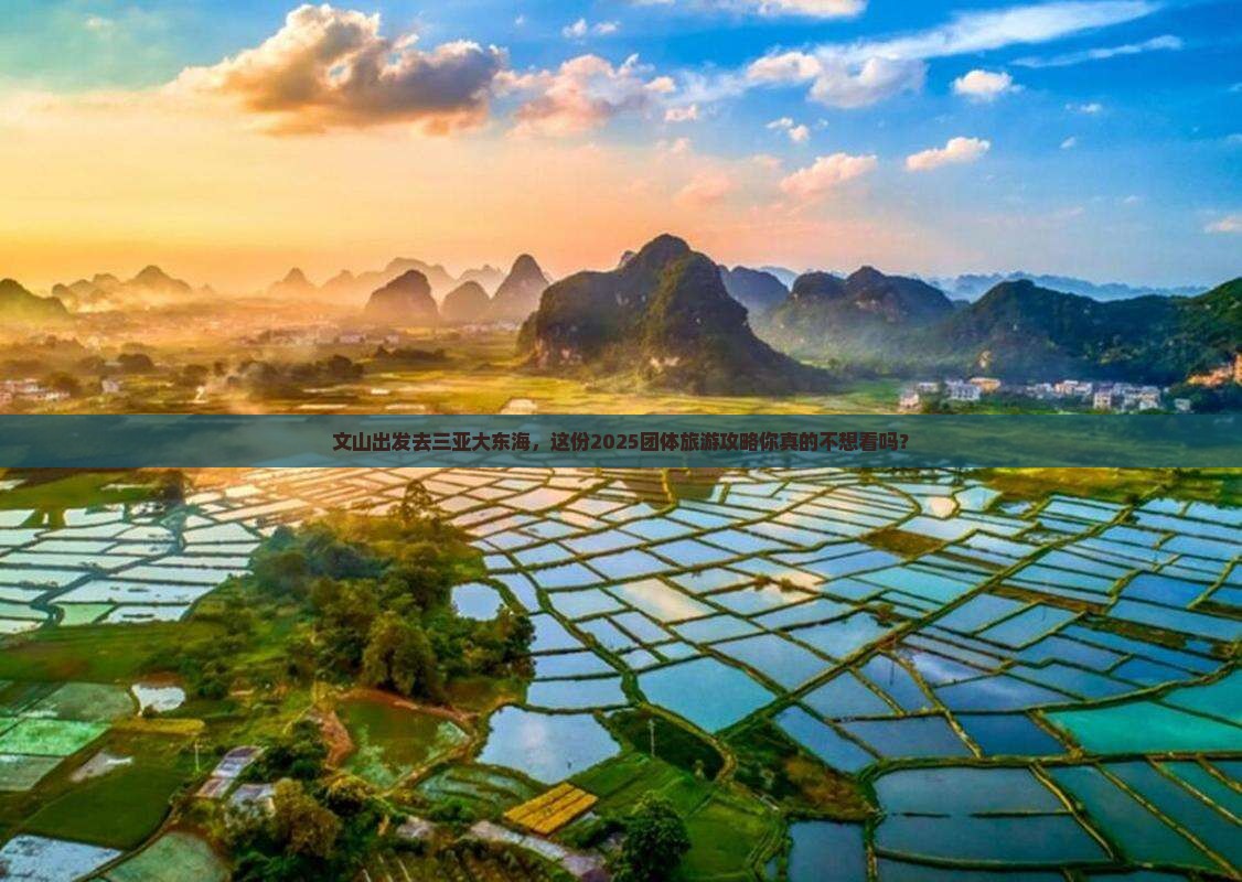 文山去三亚大东海团体旅游