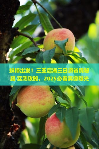 蚌埠去三亚后海三日游