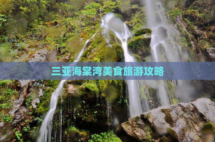 桂林去三亚海棠湾旅游小吃