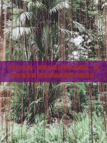 扬州去三亚西岛自由行