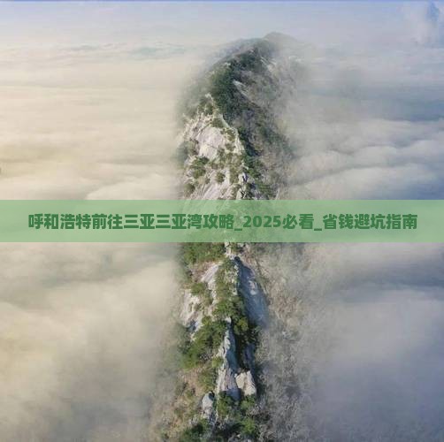 呼和浩特前往三亚三亚湾攻略 呼和浩特前往三亚三亚湾攻略
