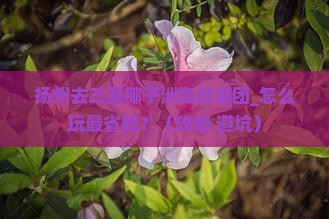 扬州去三亚椰子洲岛自由团