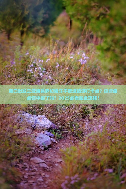 海口出发三亚海昌梦幻海洋不夜城旅游打卡点