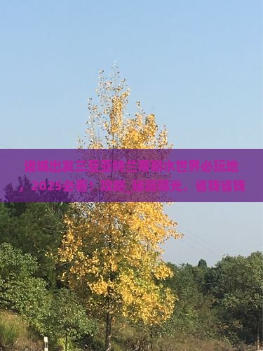 诸城出发三亚亚特兰蒂斯水世界必玩地