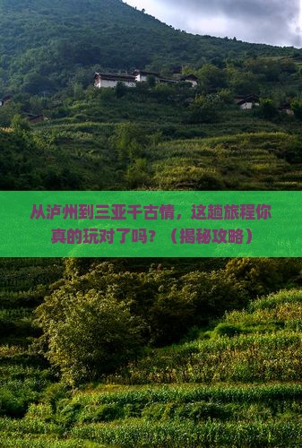 泸州去三亚千古情必玩地