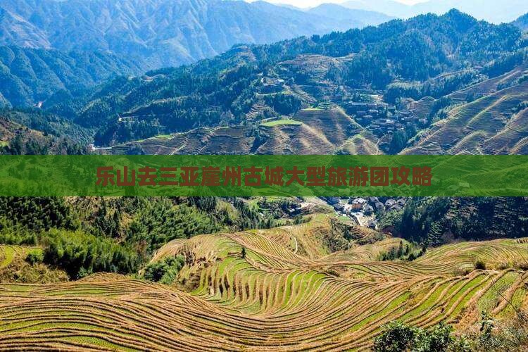 乐山去三亚崖洲古城大型旅游团