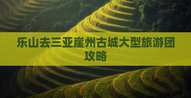 乐山去三亚崖洲古城大型旅游团