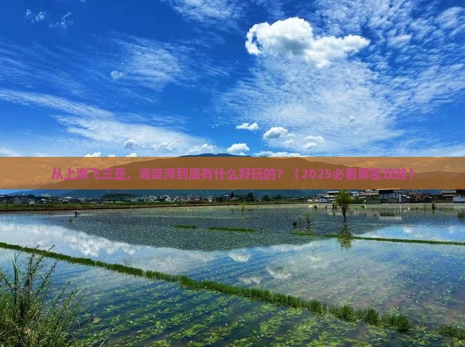 上海出发三亚海棠湾必玩地