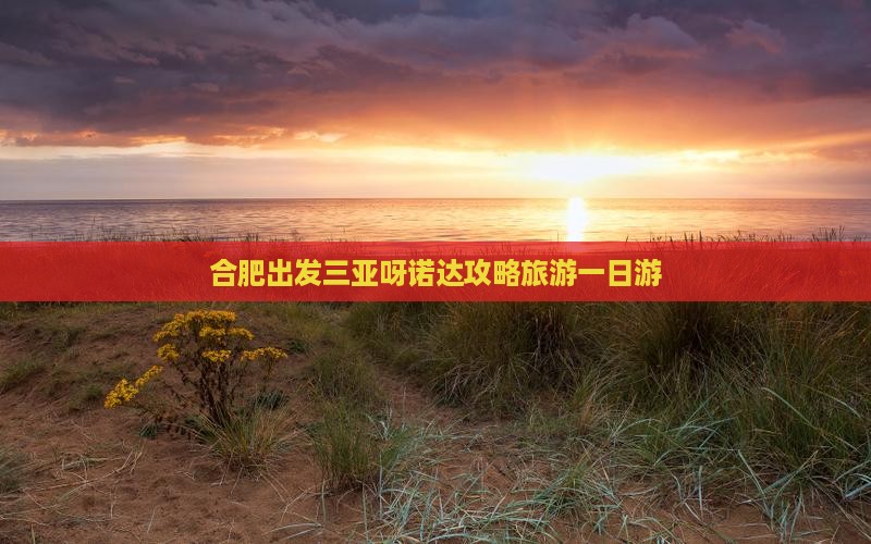 合肥去三亚呀诺达景区一日游