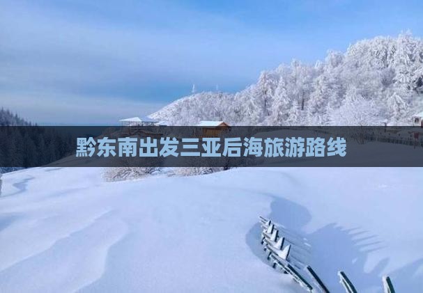 黔东南出发三亚后海旅行社