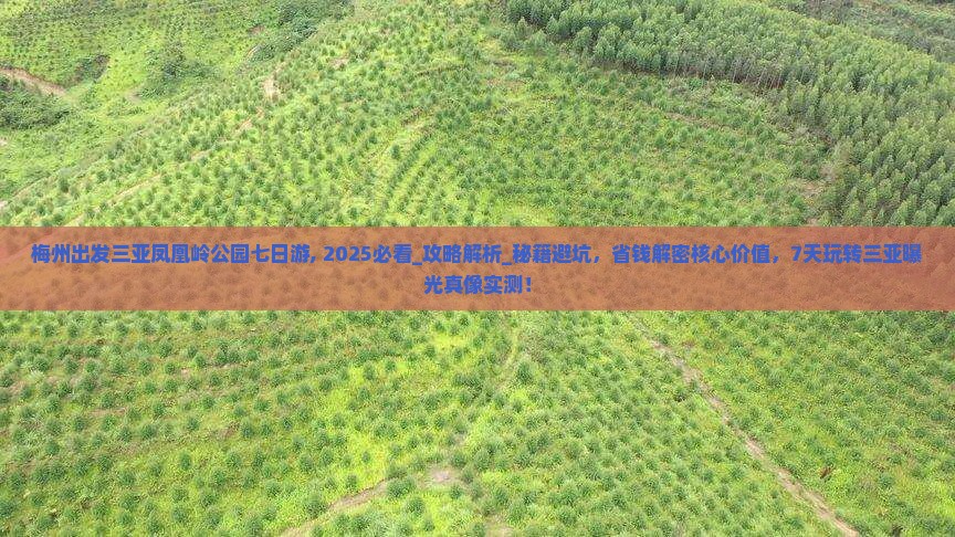 梅州出发三亚凤凰岭公园七日游