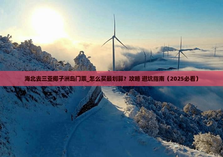 海北去三亚椰子洲岛门票