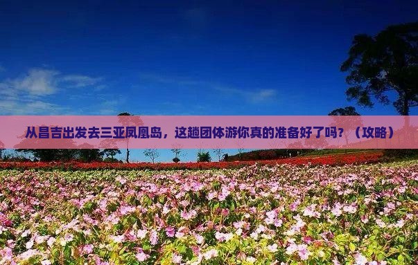 昌吉出发三亚凤凰岛团体旅游