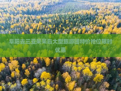 阜阳去三亚呆呆岛大型旅游团