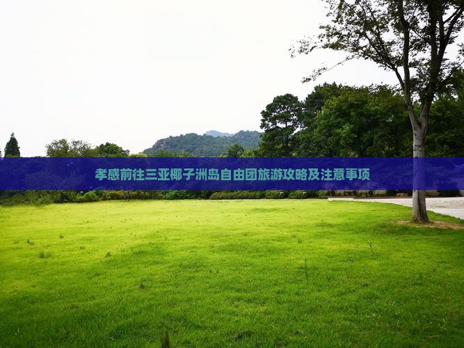 孝感前往三亚椰子洲岛自由团