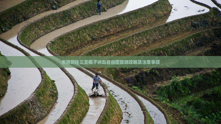 孝感前往三亚椰子洲岛自由团