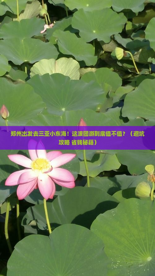 郑州前往三亚小东海团体旅游