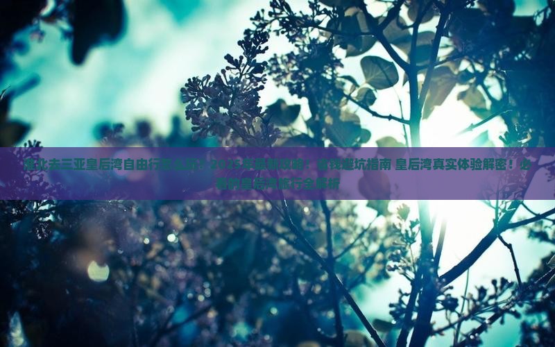 淮北去三亚皇后湾自由行