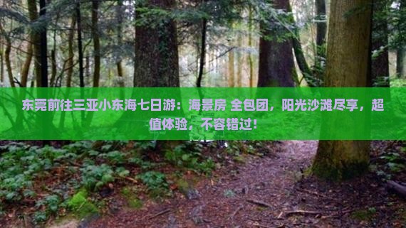 东莞前往三亚小东海七日游
