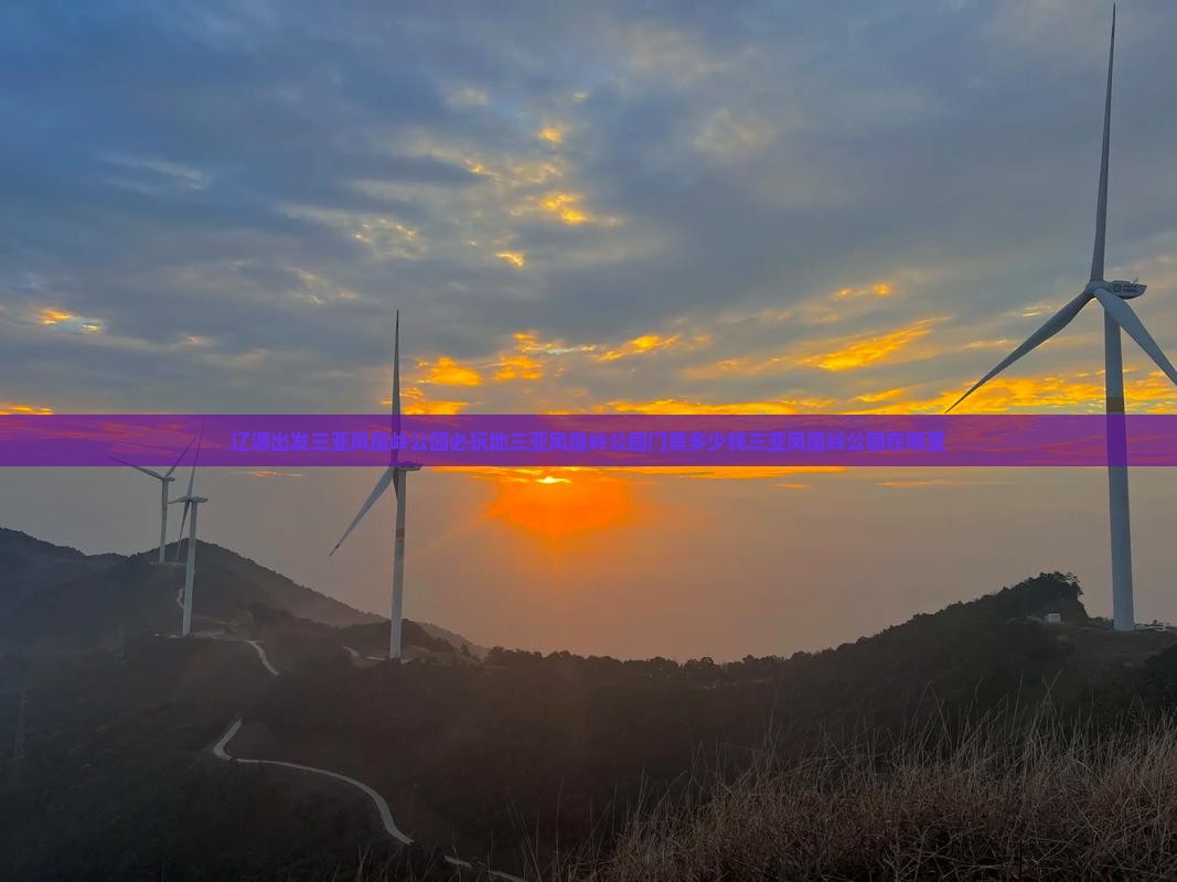 辽源出发三亚凤凰岭公园必玩地