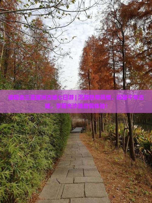 德阳去三亚崖洲古城七日游