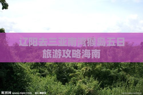 辽阳去三亚南湾猴岛五日游
