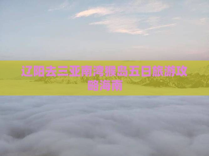辽阳去三亚南湾猴岛五日游